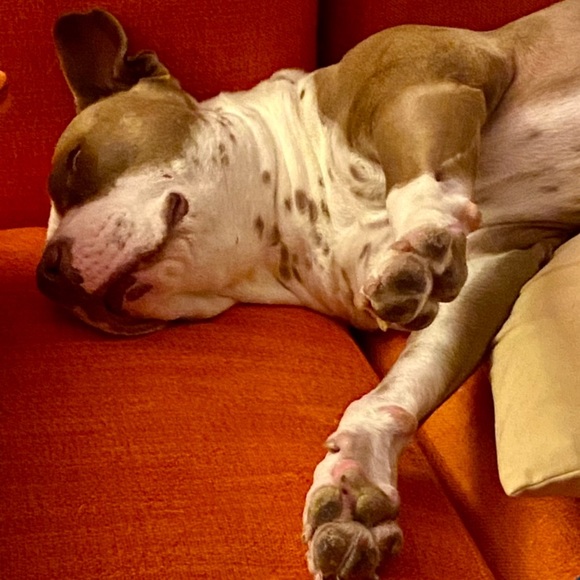 Some info - Picture 3 of 6